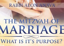 Love And Marriage – What’s it’s purpose?