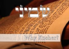 Parashat Shemini – What’s the deal with Kosher animals??