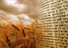 Kabbalah explains how to prepare for Shavuot to receive the Torah again