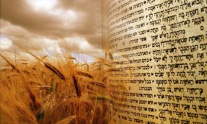 Kabbalah explains how to prepare for Shavuot to receive the Torah again