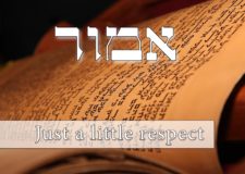 Parashat Emor – All it takes is a little respect
