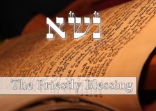 Parashat Naso – Why do the priests bless us? Shouldn’t it be from G-d?