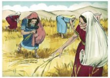 Why do we read Megillat Ruth on Shavuot? Listen what Kabbalah explains
