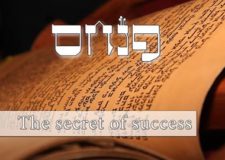 Parashat Pinchas – The most important Mitzvah