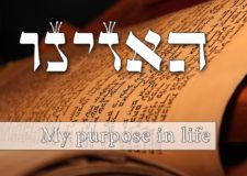 Ha’azinu – What’s my purpose in life?