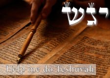Parashat Vayigash – Help me do Teshuvah