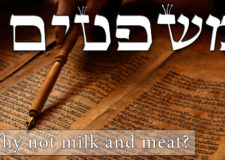 Parashat Mishpatim – Why don’t we mix meat and dairy?