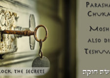 Parashat Chukat – The secret of Moshe Rabenu’s Teshuvah