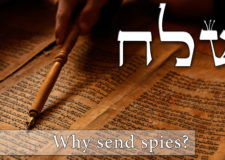 Parashat Shelach – Why send spies?